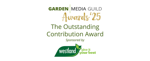 The Outstanding Contribution Award